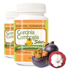 Is Garcinia Cambogia Select an Extract Dr. Oz Would Recommend?